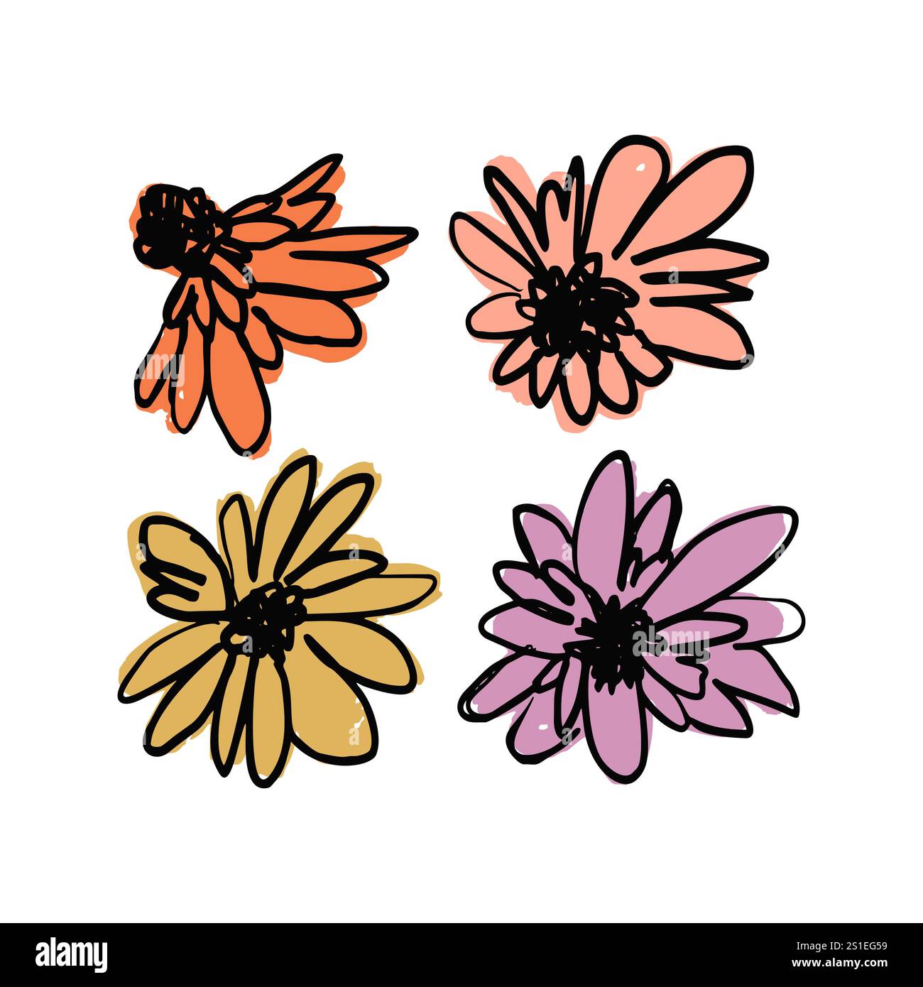 Hand drawn black ink abstract wild flowers composition print isolated ...