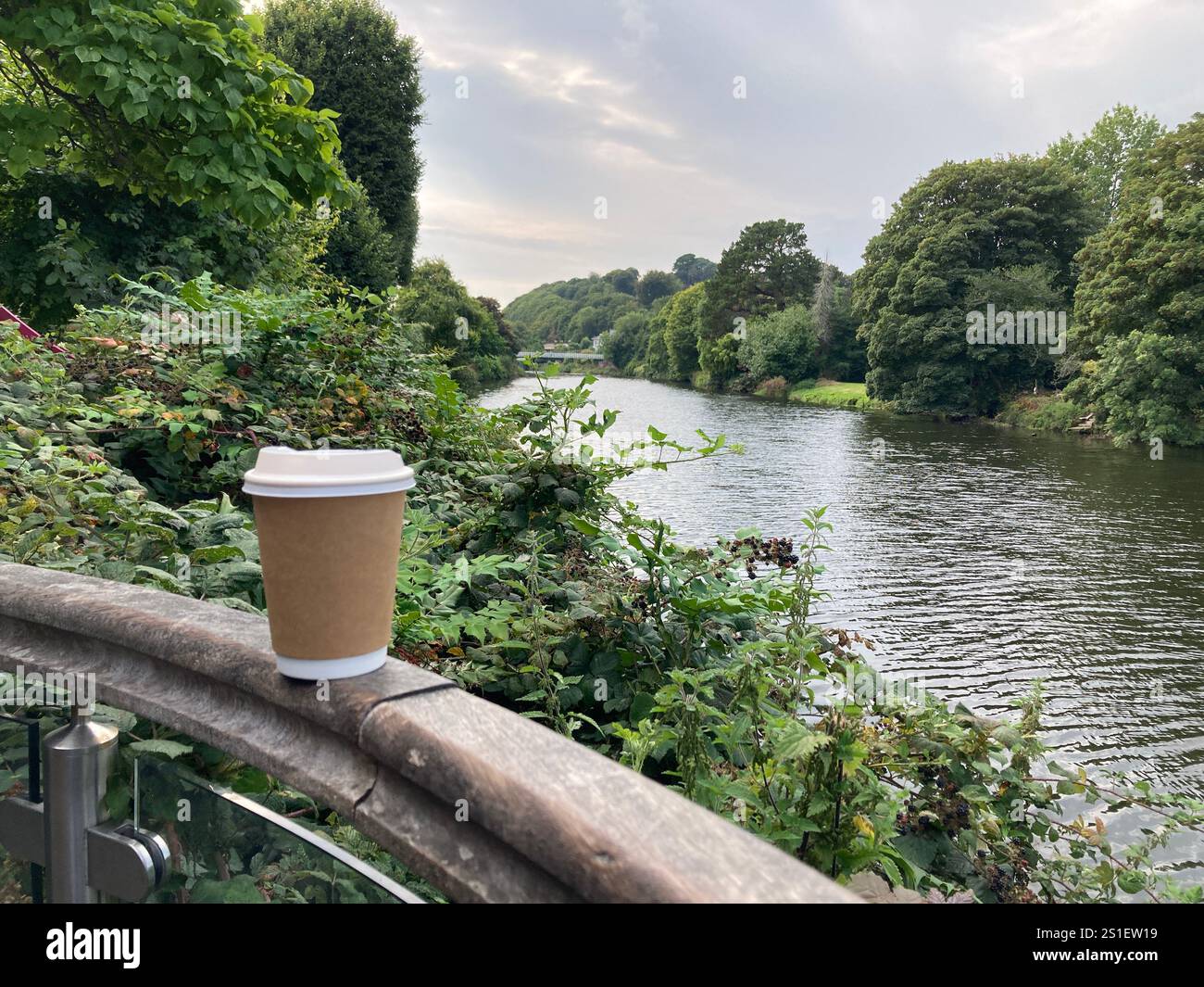 A take away coffee cup on a railing beside a river with green plants and a clear sunny sky during the day - Smartphone Captured Stock Image
