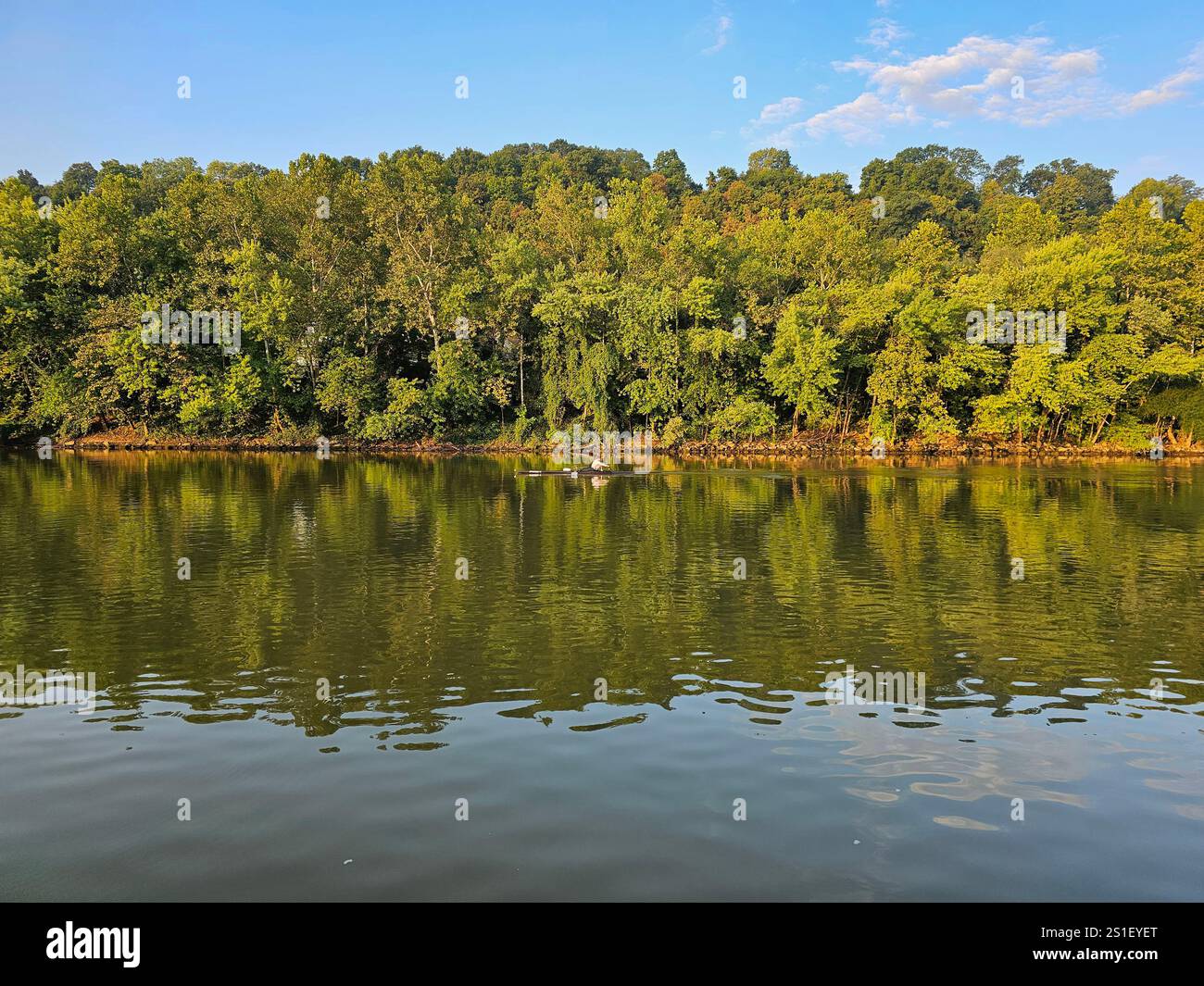 A rower on the Muskingum River in Marietta, Ohio - Smartphone Captured Stock Image
