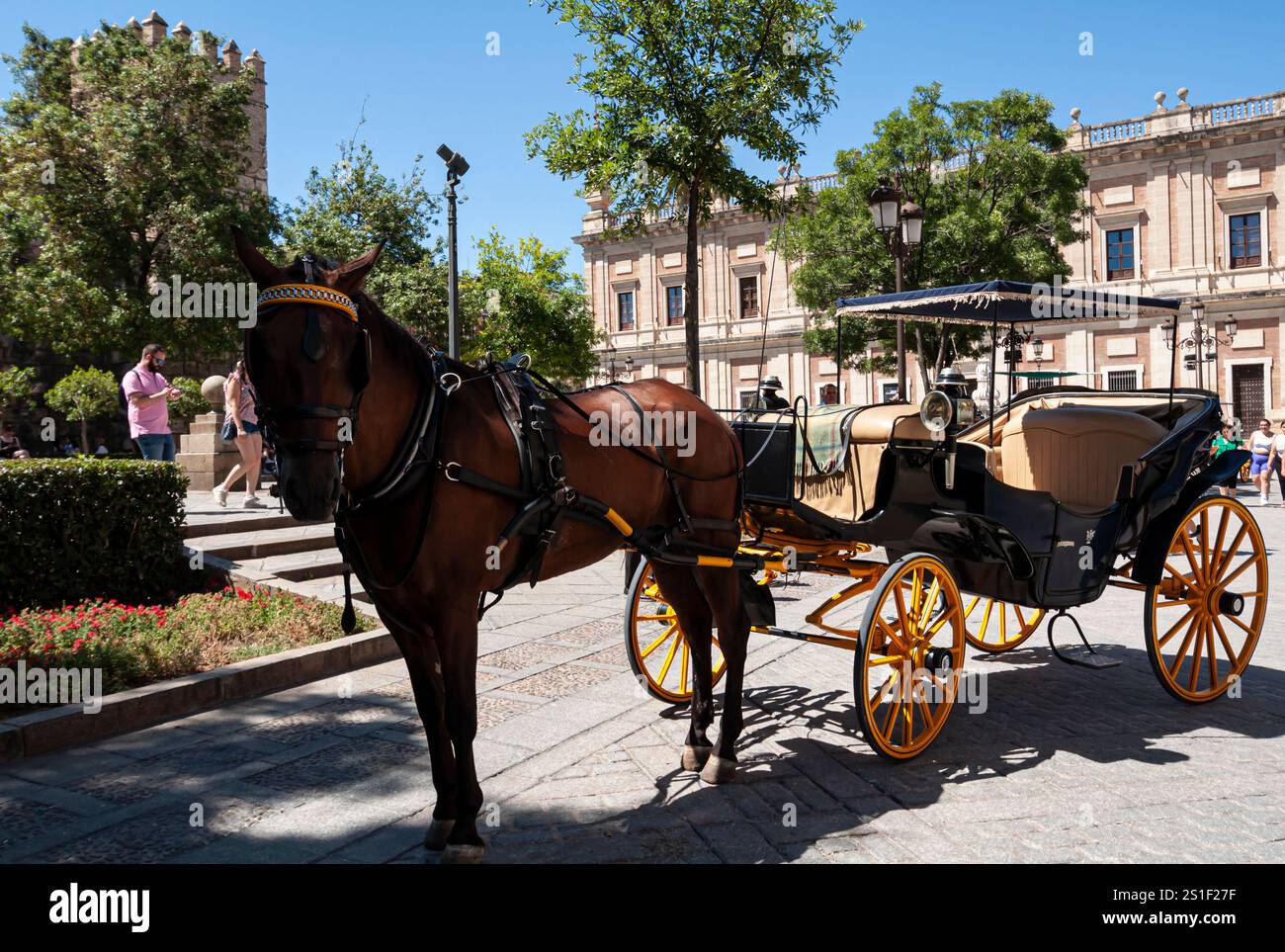 Horse-drawn carriages prepared for to ride tourists in Sevilla, Casco Antiguo, Andalusia, Spain Stock Photo