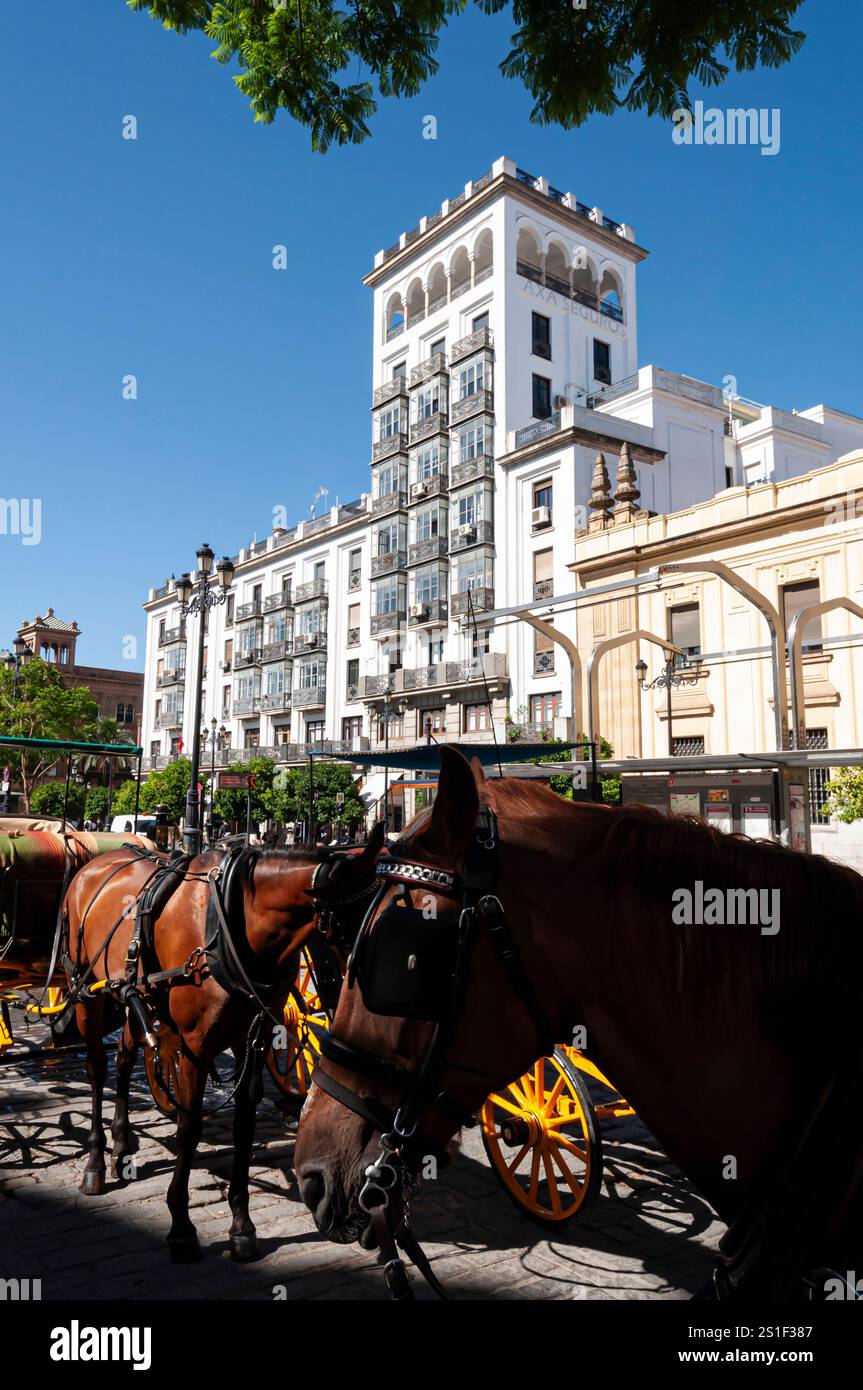 Horse-drawn carriages prepared for to ride tourists in Sevilla, Andalusia, Spain Stock Photo