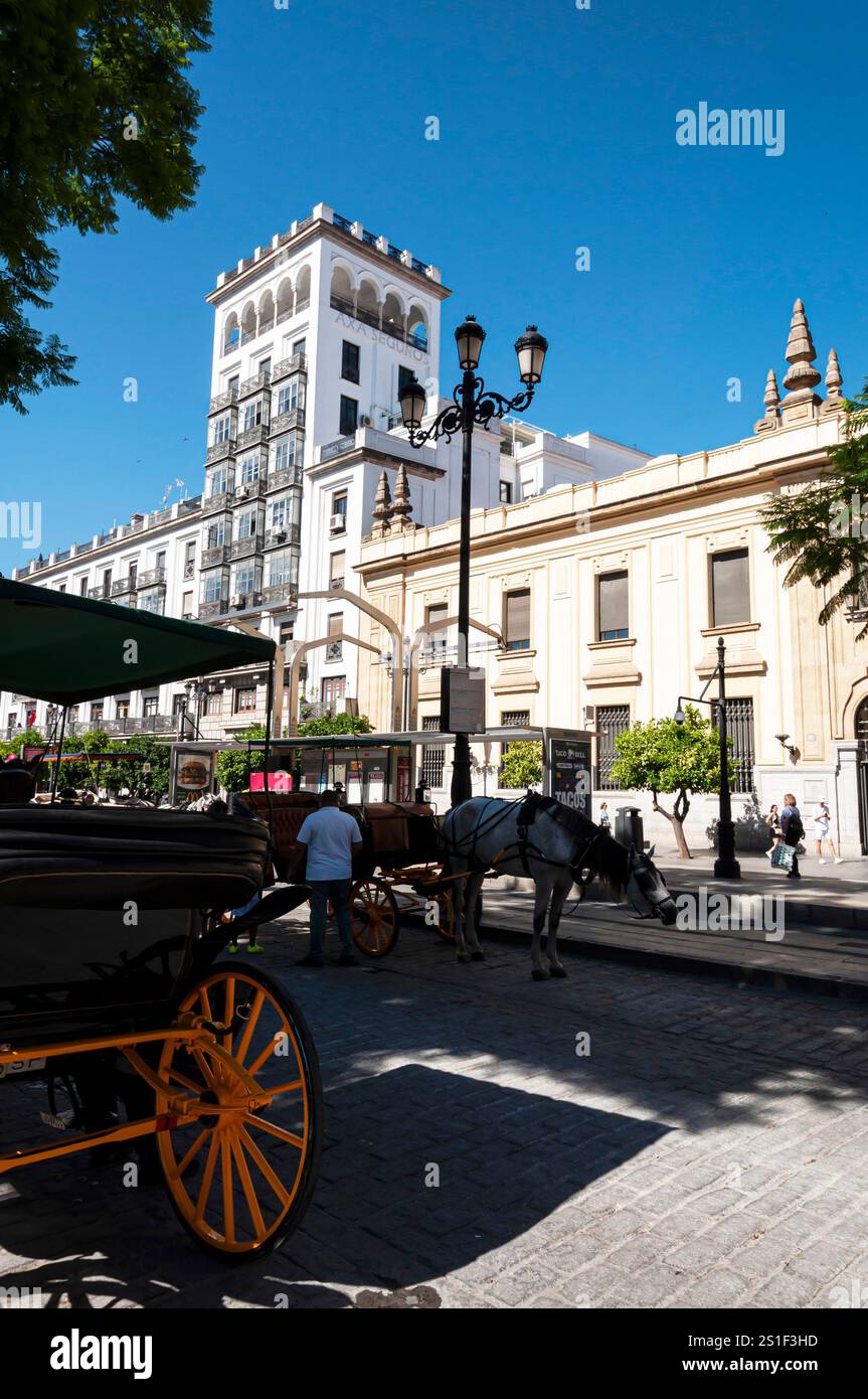Sevilla, Calash for tourist in front of a luxury hotel and museums, Andalusia, Spain Stock Photo