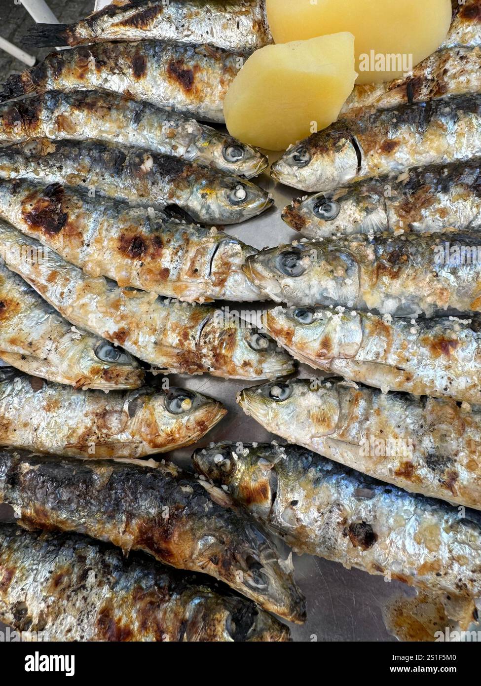 A plate of grilled sardines with boiled potatoes in Matosinhos, Portugal. - Smartphone Captured Stock Image