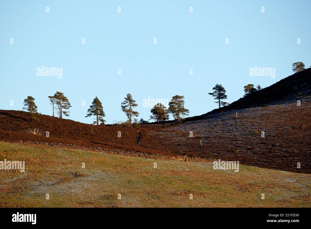 Eildon hills walkers hi-res stock photography and images - Alamy