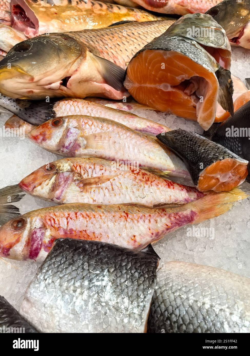 Lively display various colorful fish hi-res stock photography and ...