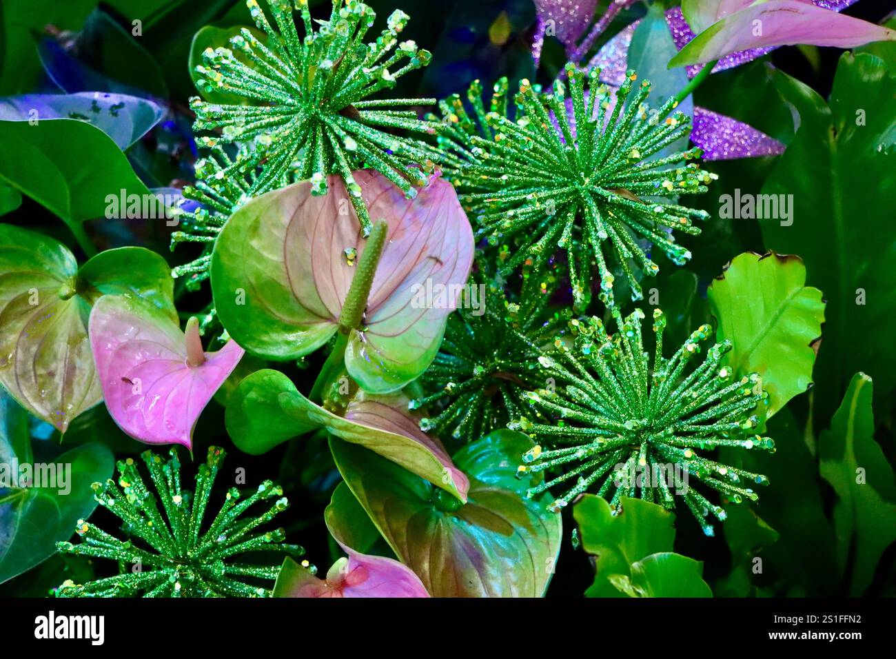 Christmas decorations mixed with calla lilies at Glasshouses of ...