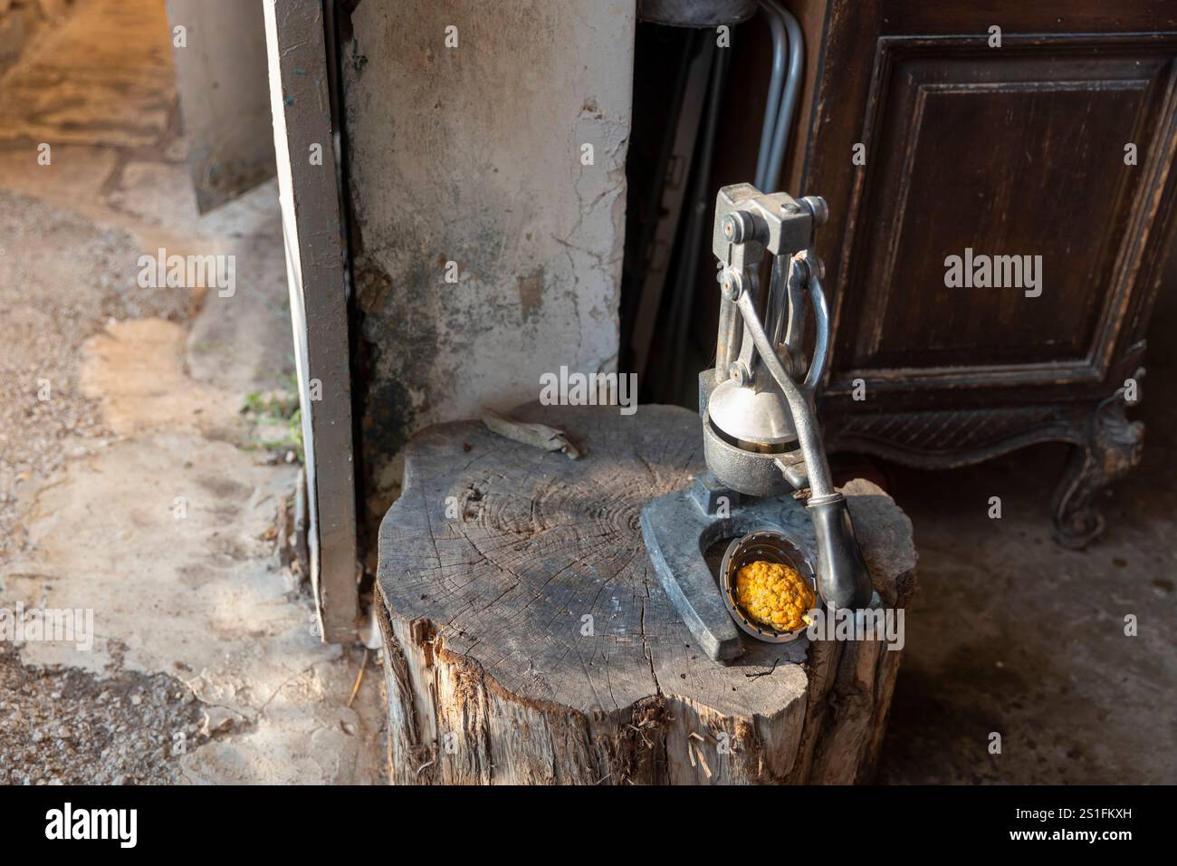 The citron (Citrus medica) lies in a metal juicer in the inner courtyard. Stock Photo