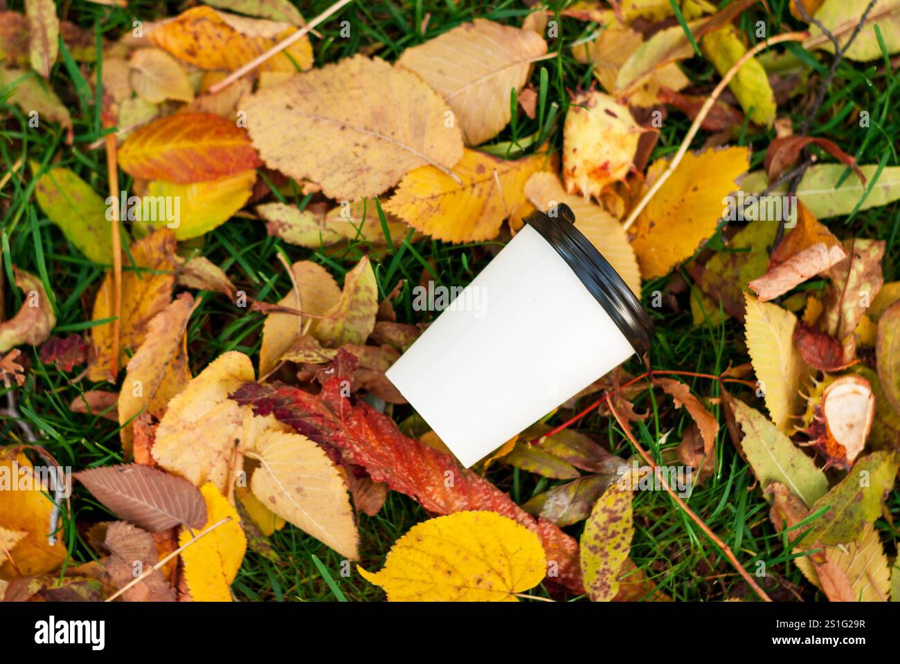 Disposable paper coffee cup with plastic lid lies on grass among fallen ...