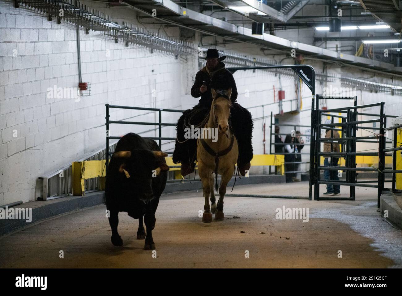 New York, New York, USA. 3rd Jan, 2025. Wrangler Jared Groene of Las ...
