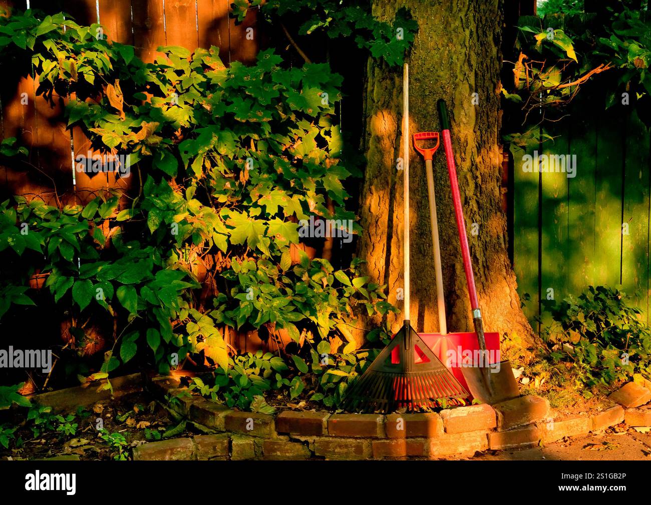 Yard tools hi-res stock photography and images - Alamy