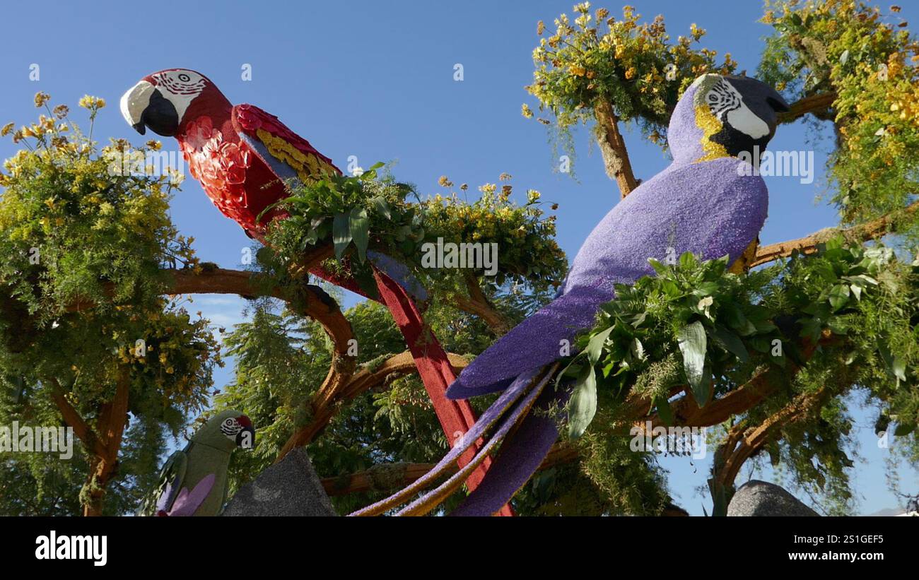 Pasadena, California, USA 3rd January 2025 at 2025 Macaws on Float at