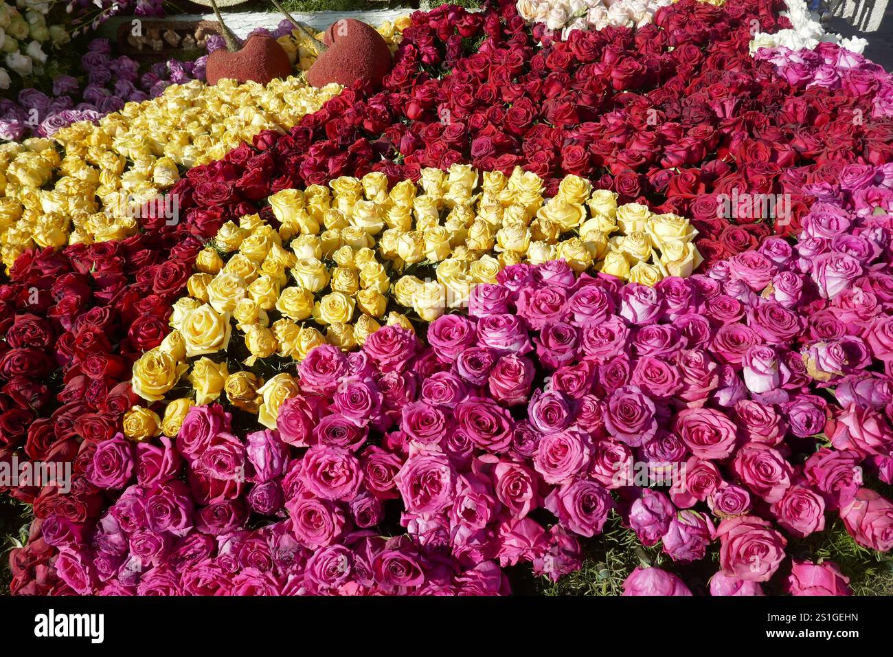 Pasadena, California, USA 3rd January 2025 at 2025 Flowers on Float at