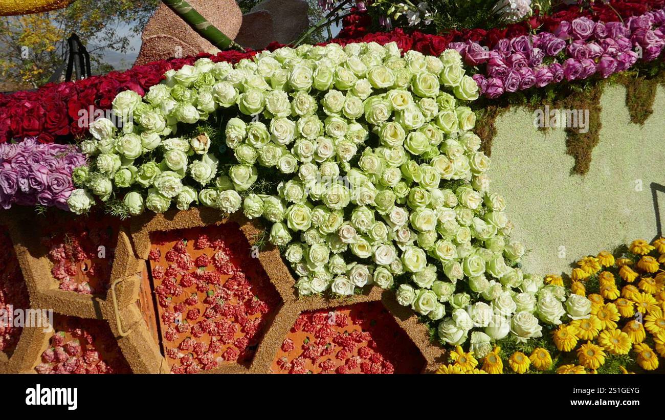 Pasadena, California, USA 3rd January 2025 at 2025 Flowers on Float at