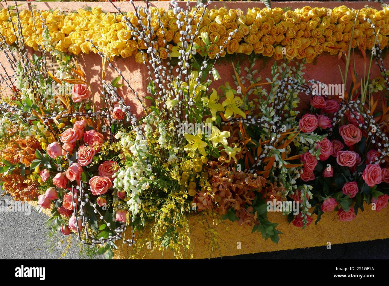 Pasadena, California, USA 3rd January 2025 at 2025 Flowers on Float at