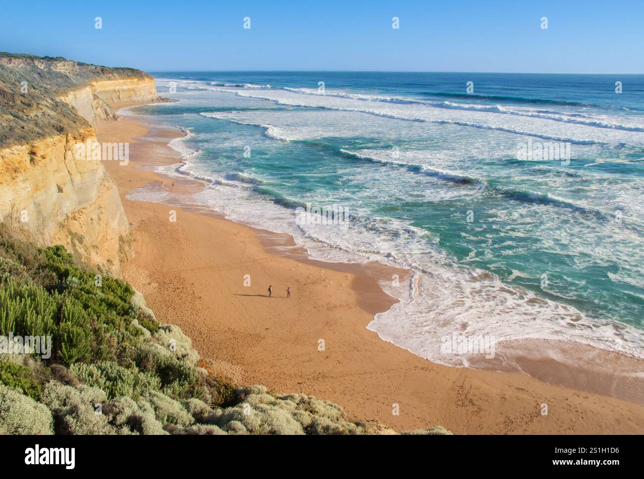 Twelve Apostles beach and rocks in Australia, Victoria, beautiful ...