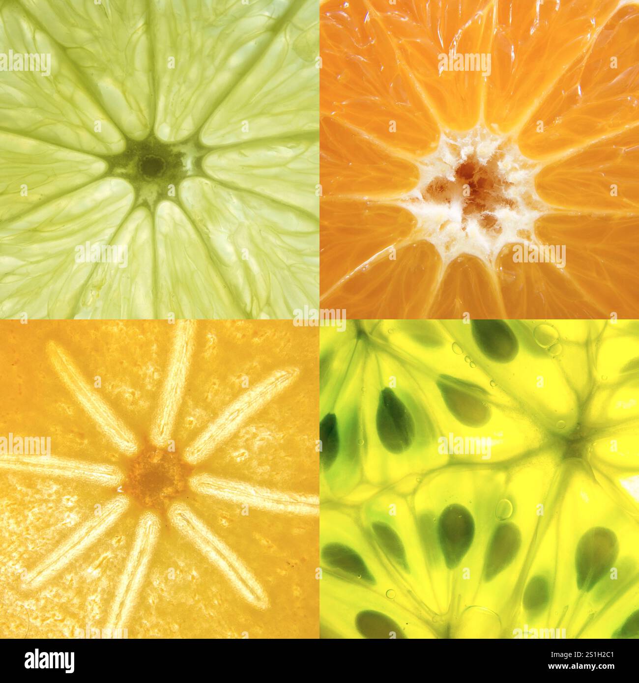 Assorted tropical fruit with star fruit hi-res stock photography and ...