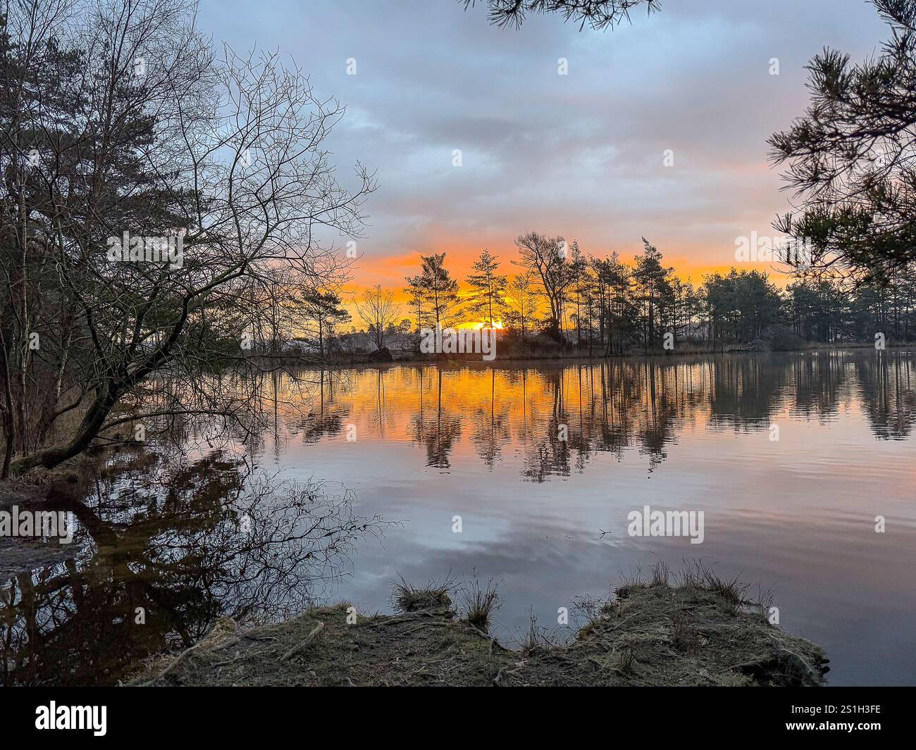 Godalming, UK. 04th Jan, 2025. Thursley Common, Elstead. 04th January 2025. A very cold start to the day for the Home Counties with temperatures well below zero Celsius. A frosty sunrise at Thursley Common in Elstead, near Godalming, in Surrey. Credit: james jagger/Alamy Live News Stock Photo