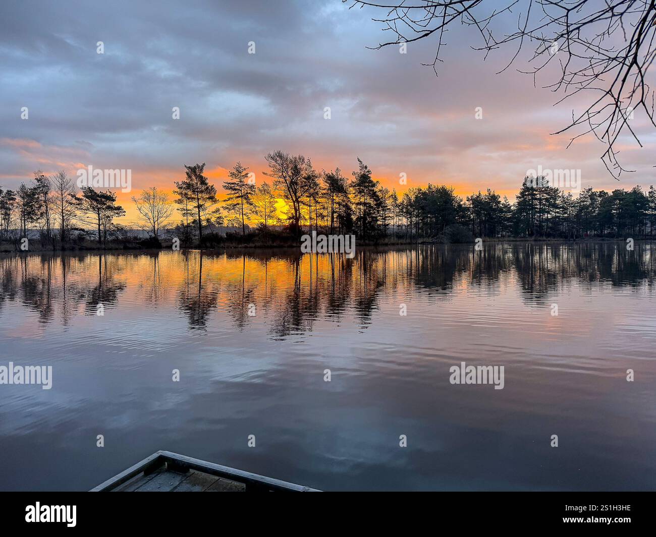 Godalming, UK. 04th Jan, 2025. Thursley Common, Elstead. 04th January 2025. A very cold start to the day for the Home Counties with temperatures well below zero Celsius. A frosty sunrise at Thursley Common in Elstead, near Godalming, in Surrey. Credit: james jagger/Alamy Live News Stock Photo