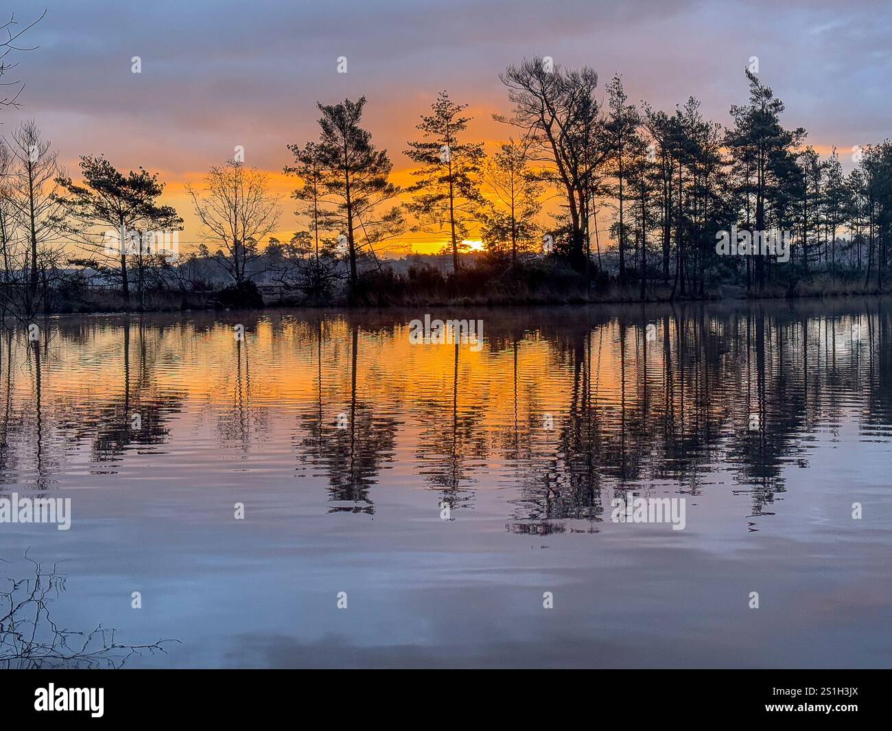 Godalming, UK. 04th Jan, 2025. Thursley Common, Elstead. 04th January 2025. A very cold start to the day for the Home Counties with temperatures well below zero Celsius. A frosty sunrise at Thursley Common in Elstead, near Godalming, in Surrey. Credit: james jagger/Alamy Live News Stock Photo