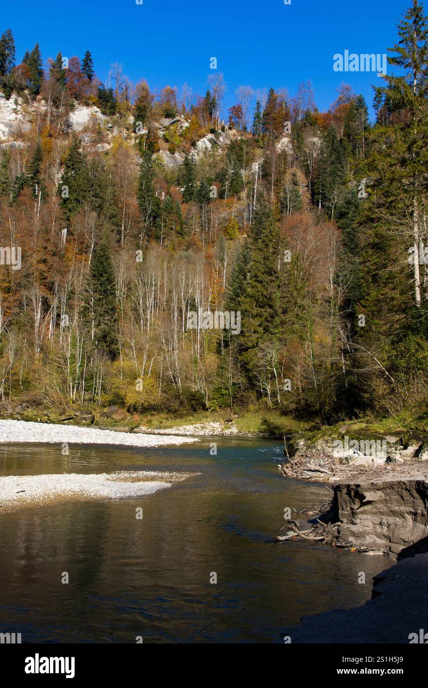 Bregenzer Wald Blick am 3.11.2024 auf den Fluss Bregenzer Ach bei ...