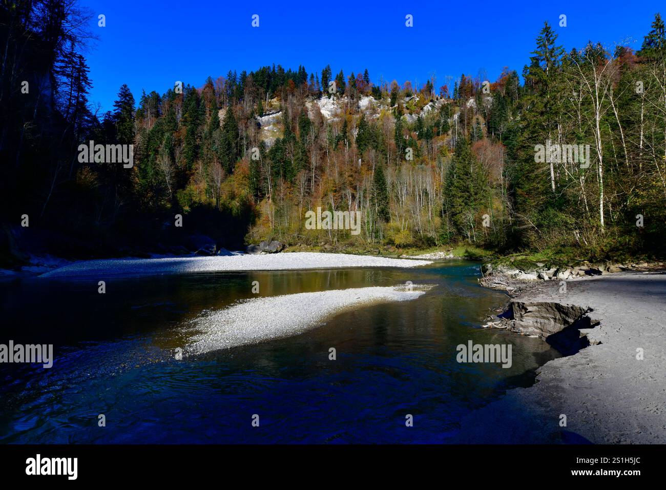Bregenzer Wald Blick am 3.11.2024 auf den Fluss Bregenzer Ach bei ...