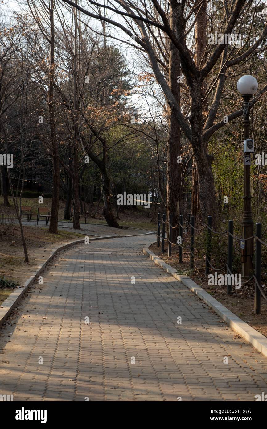 Tree and walkway at Seoul Children's Grand Park in Winter. South Korea ...