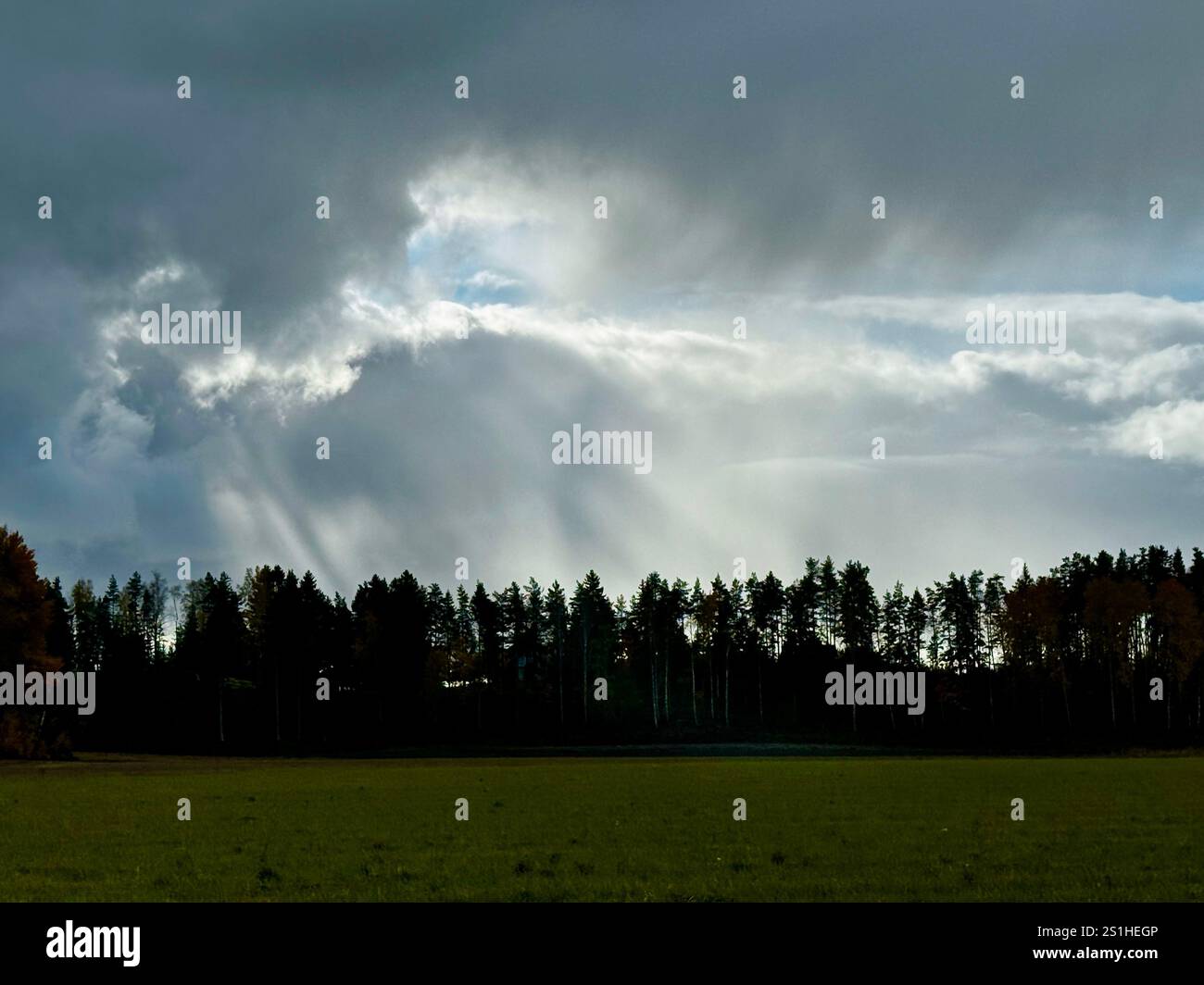 Dramatic sunlight beams break through stormy clouds over a Finnish field, creating a striking contrast with the dark forest line - Smartphone Captured Stock Image