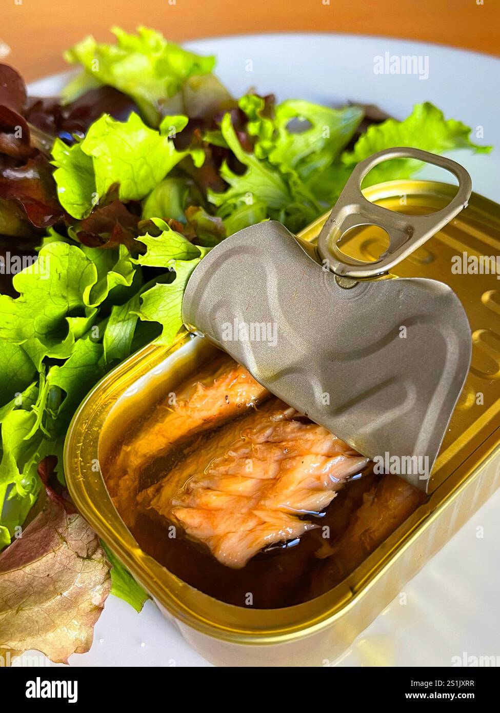 Canned mackerel with salad. - Smartphone Captured Stock Image