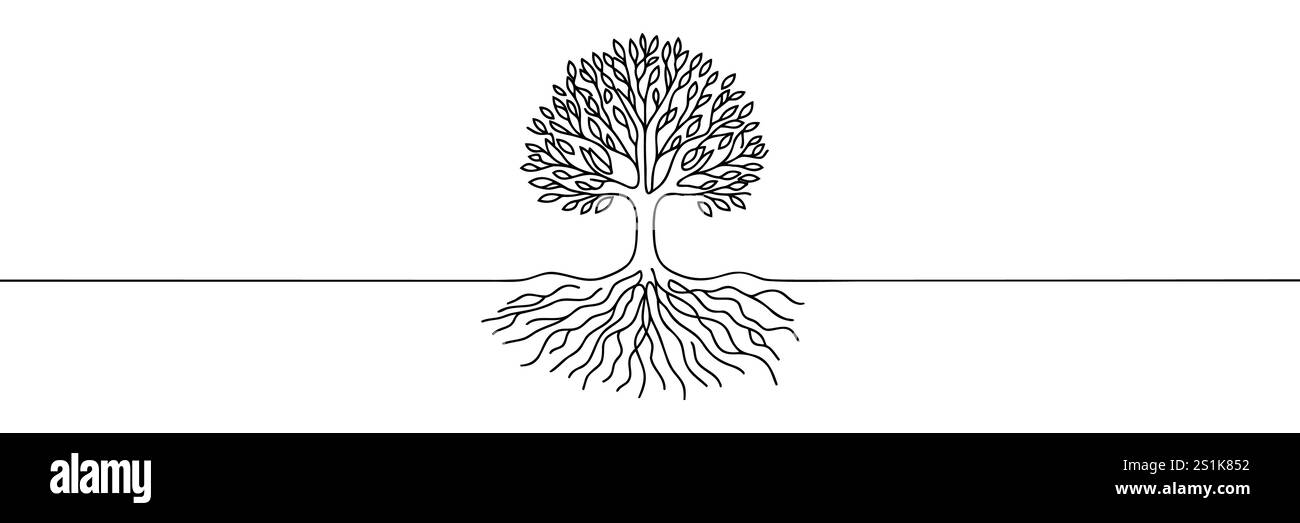 Tree Roots Outline Simple Tree With Roots Outline Drawing