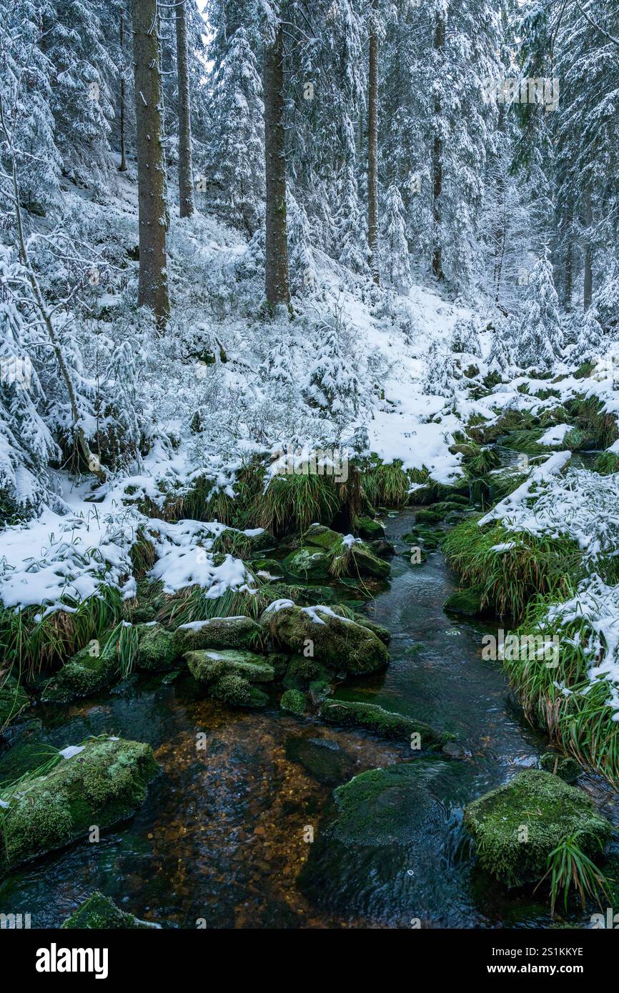 Winter in the Black Forest, Germany Stock Photo