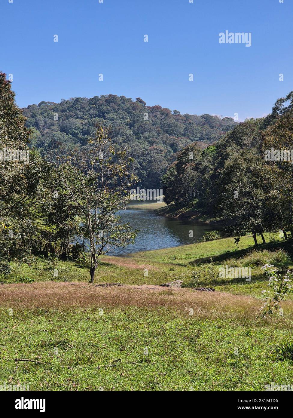 Periyar Nation Park, Thekkady, India - Smartphone Captured Stock Image