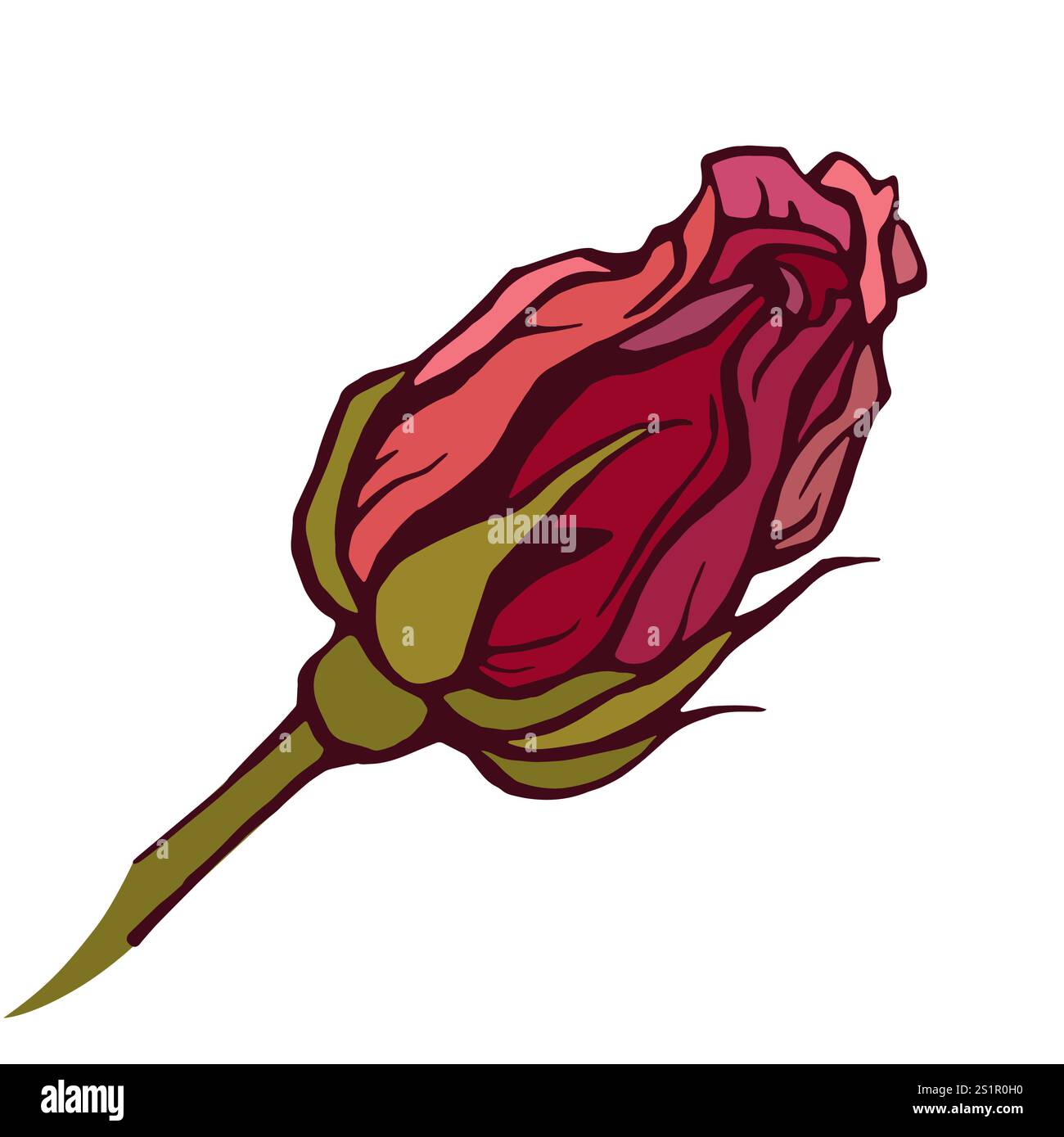 Rose flower, red rose isolated Stock Vector Image & Art - Alamy