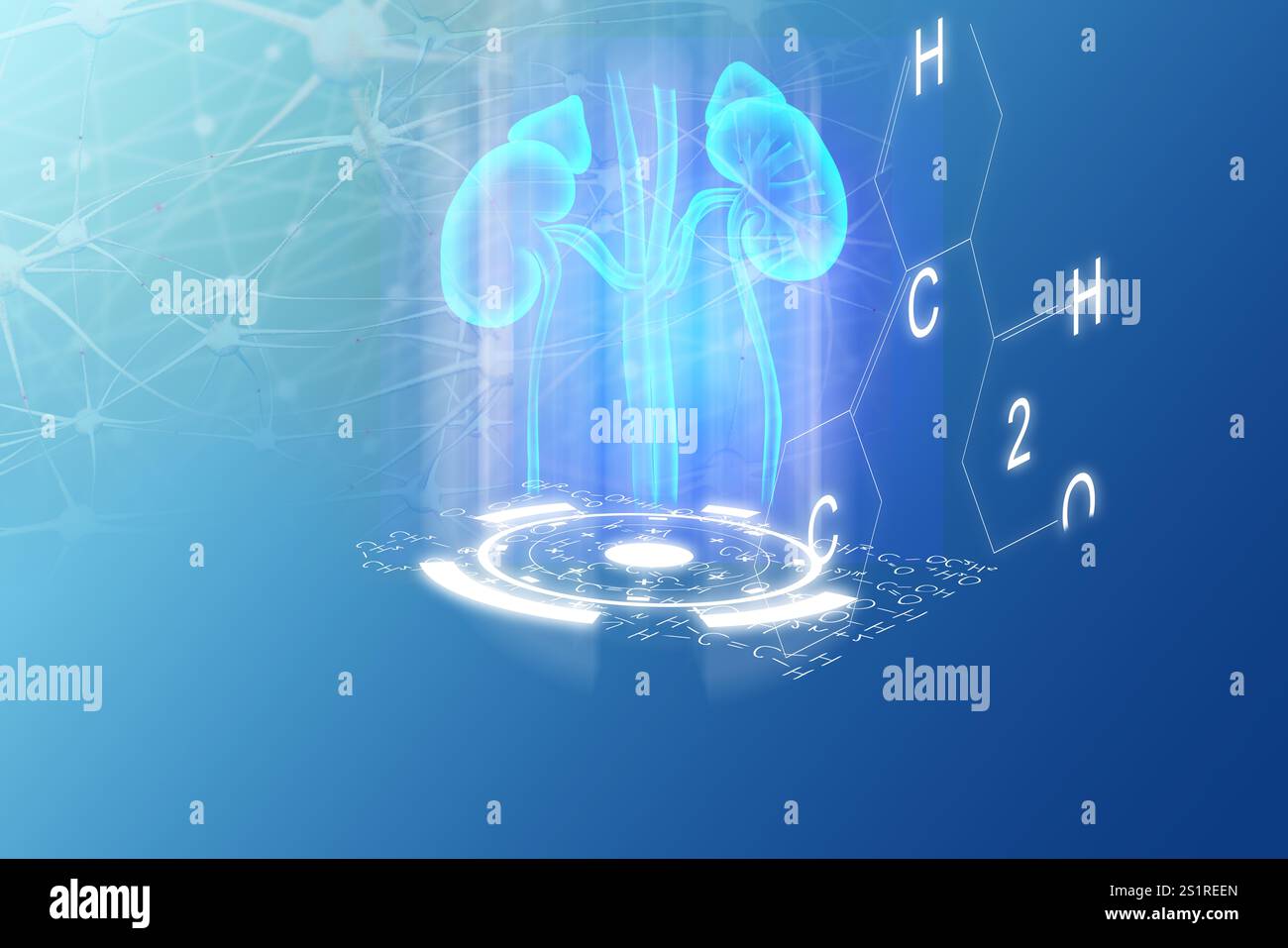 Medical technology. Kidneys, neural network and chemical formulas on ...