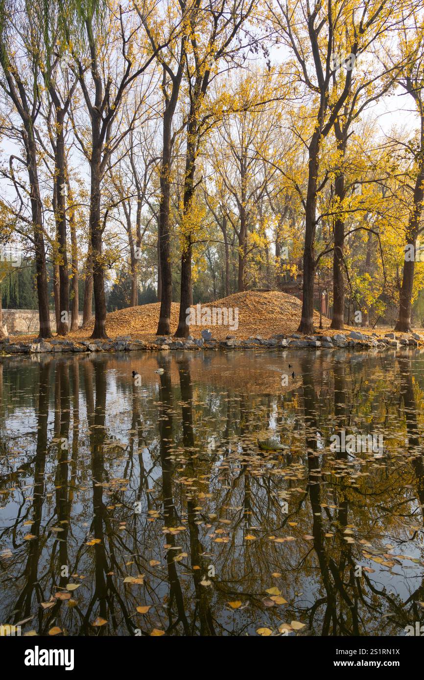 Beautiful autumn view of Yuanmingyuan Park in Beijing, China. It was allegedly the most wonderous and luxurious imperial garden in Chinese history Stock Photo