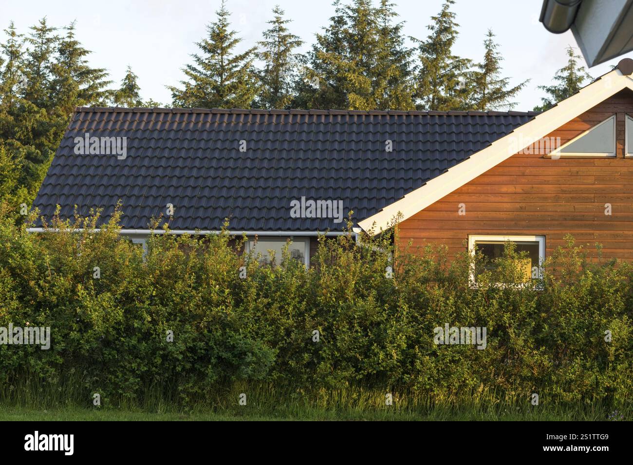 View of Amazing apartment in Allinge with WiFi - Apartments for Rent ... - Airbnb