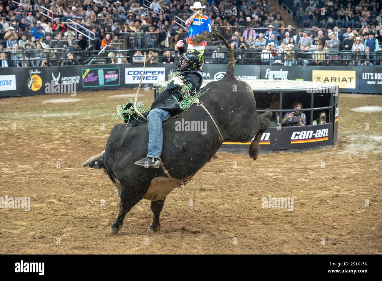 NEW YORK, NEW YORK JANUARY 04 Boudreaux Campbell rides Goin' Solo