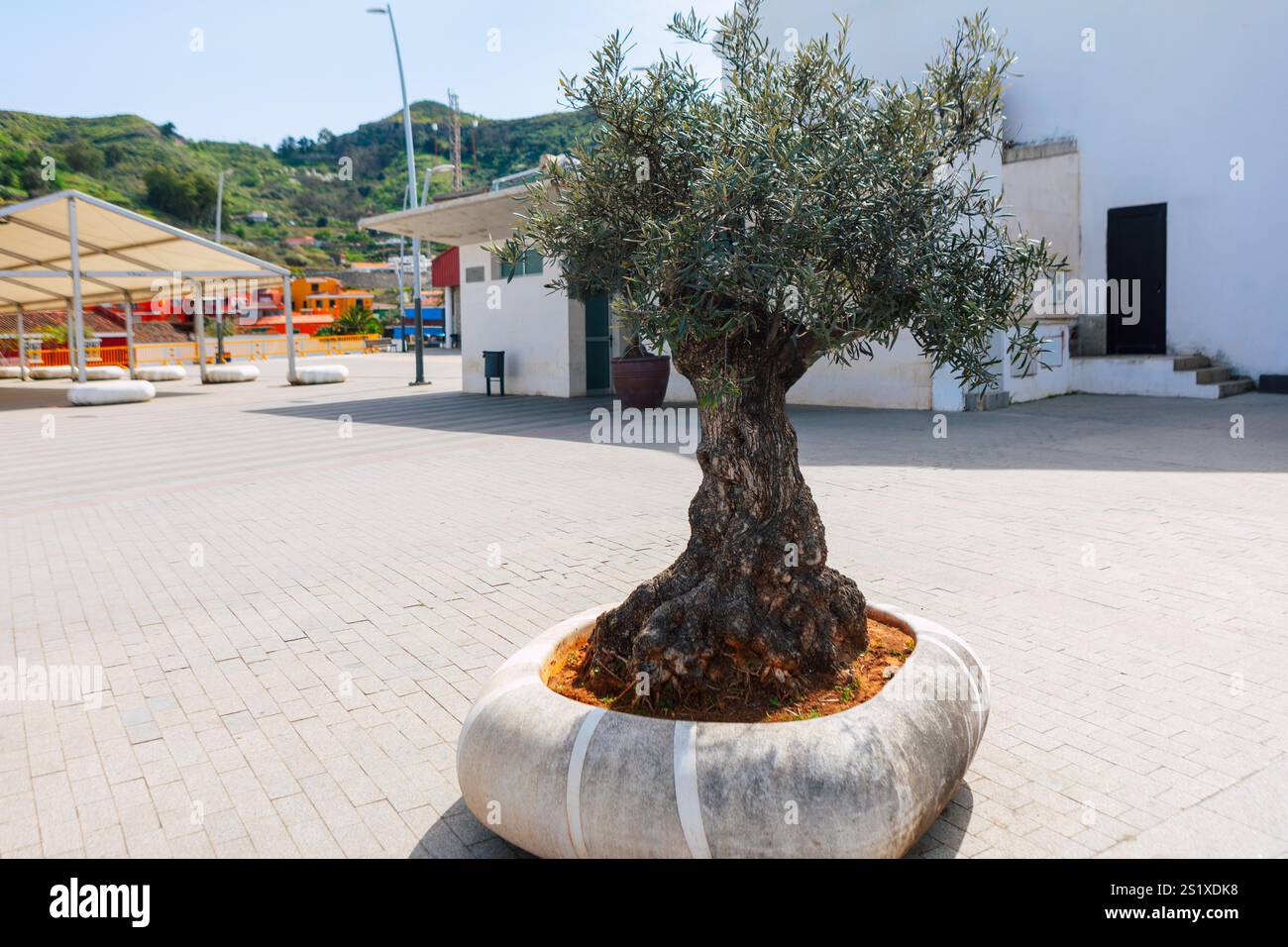 Circular stone planter covered hi-res stock photography and images - Alamy