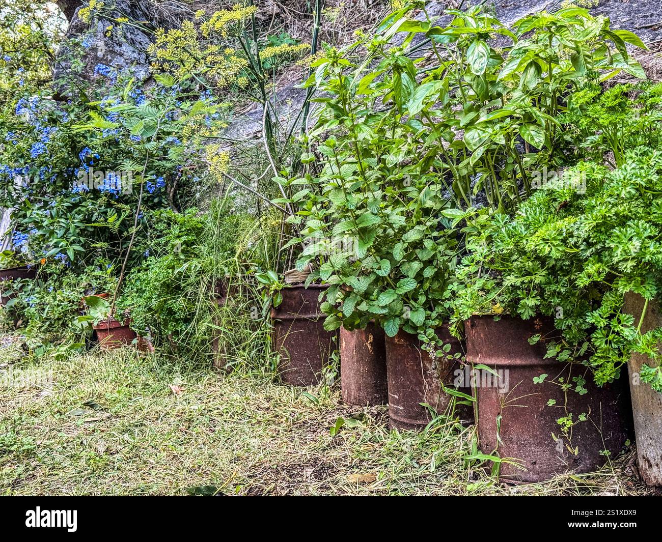 Sustainable gardening practices hi-res stock photography and images - Alamy