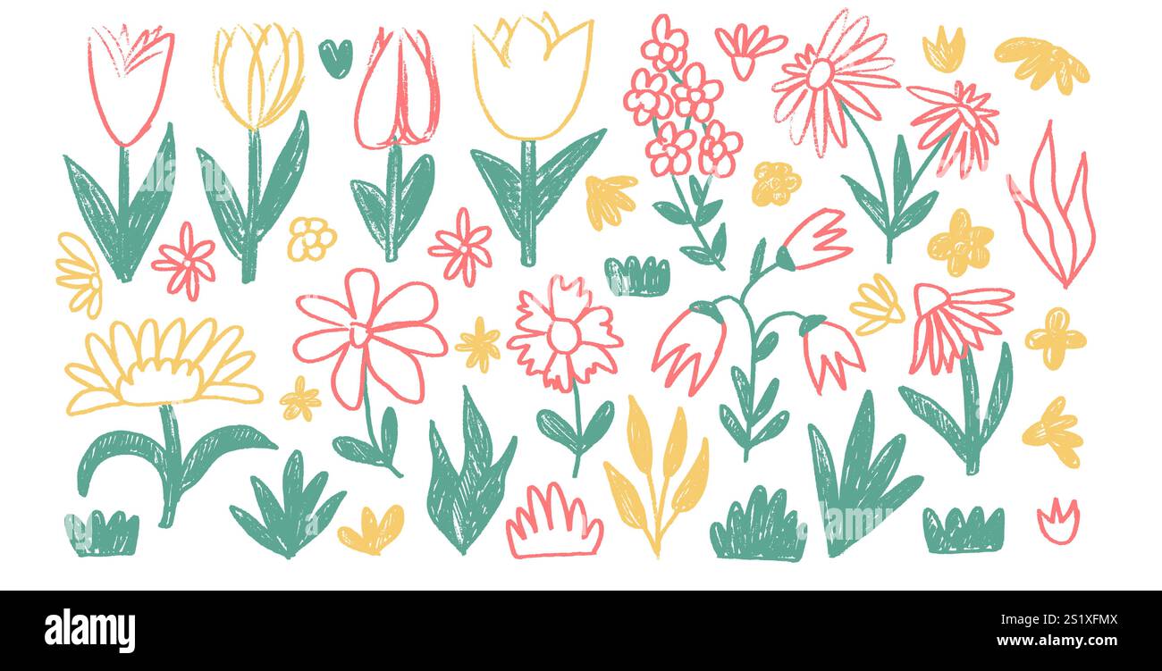 Flowers and leaves crayon drawn set. Spring tulip, daisy, chamomile and ...