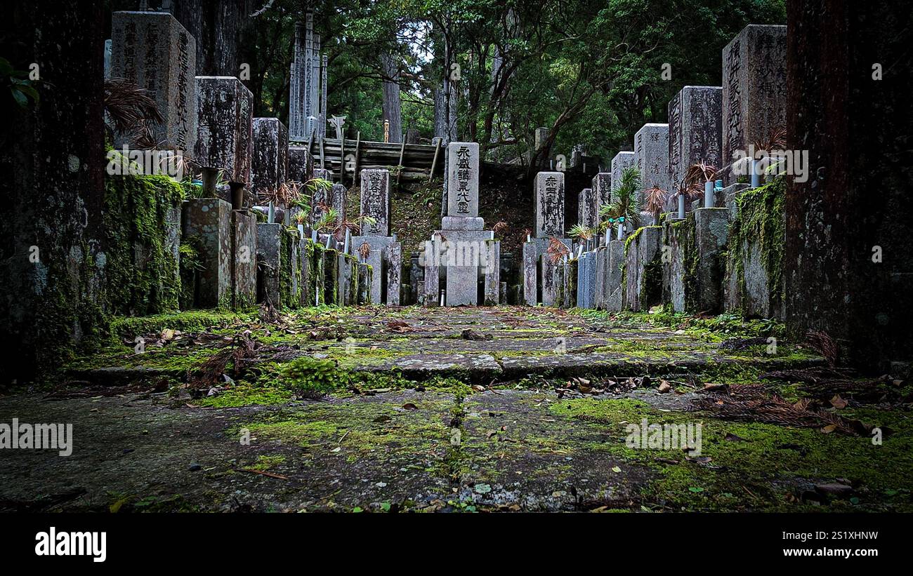 Graves and statues in Okunoin Koyasan - Smartphone Captured Stock Image