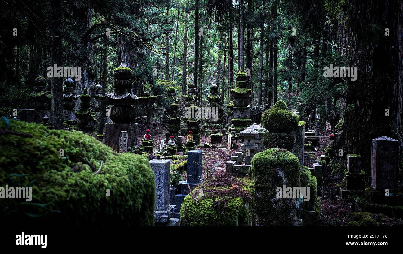 Graves and statues in Okunoin Koyasan - Smartphone Captured Stock Image