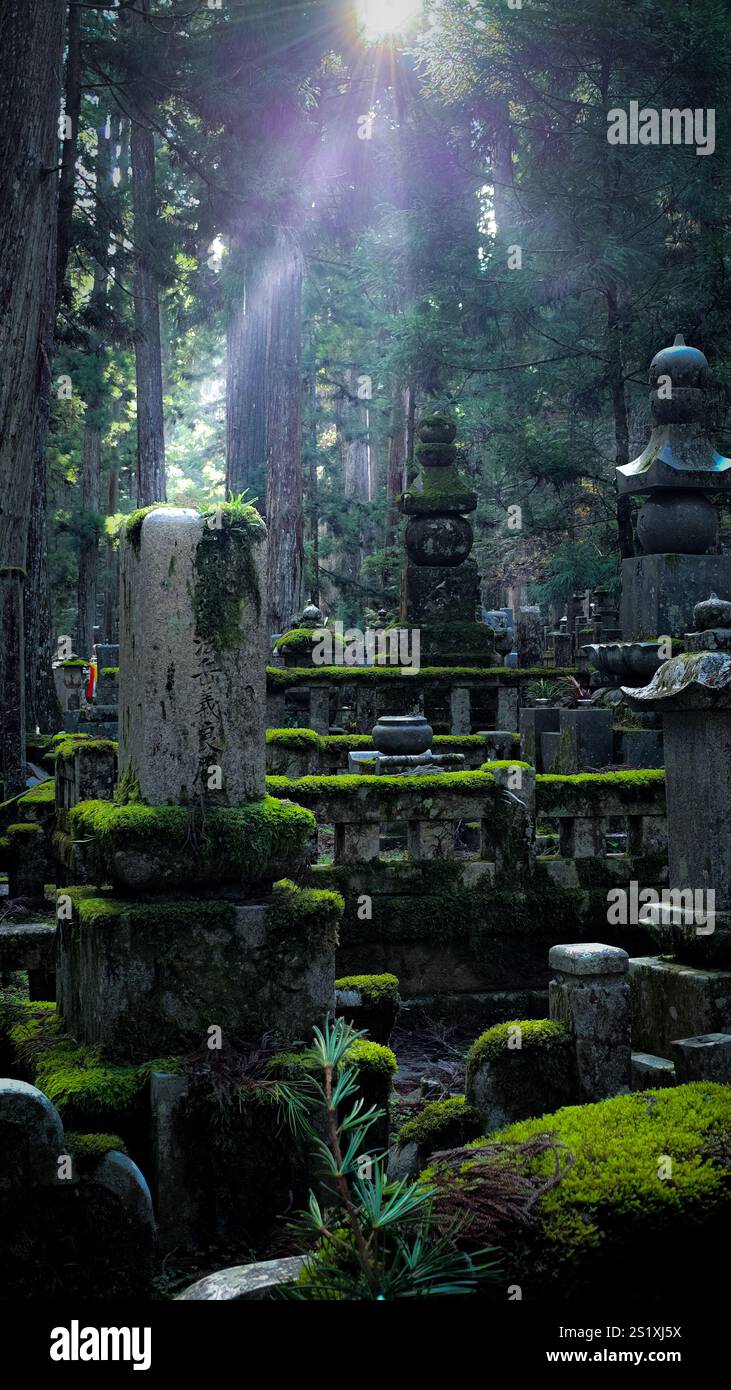 Graves and statues in Okunoin Koyasan - Smartphone Captured Stock Image