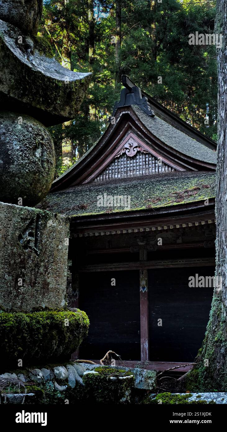 Graves and statues in Okunoin Koyasan - Smartphone Captured Stock Image
