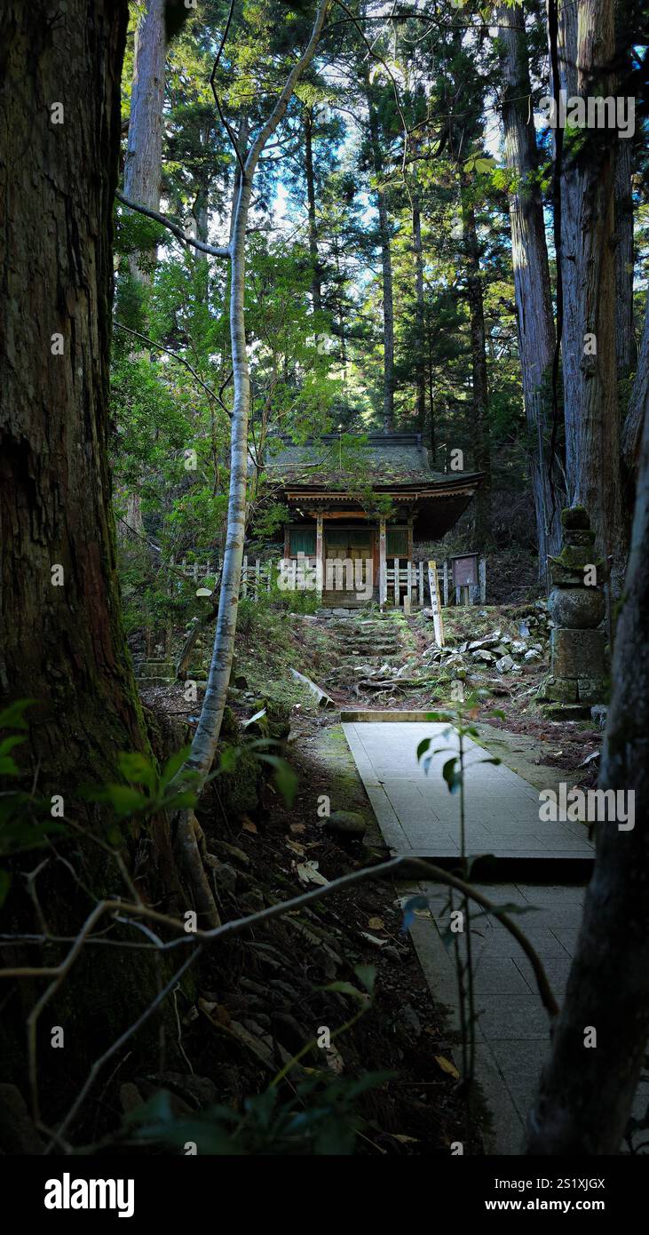 Graves and statues in Okunoin Koyasan - Smartphone Captured Stock Image