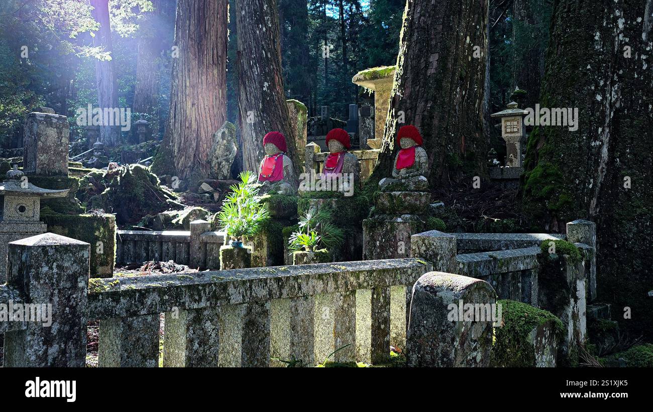Graves and statues in Okunoin Koyasan - Smartphone Captured Stock Image
