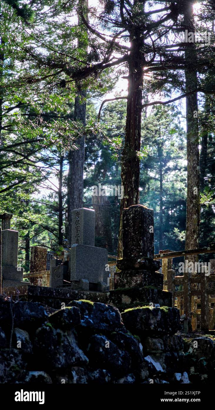 Graves and statues in Okunoin Koyasan - Smartphone Captured Stock Image