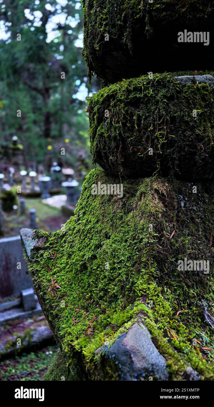 Graves and statues in Okunoin Koyasan - Smartphone Captured Stock Image