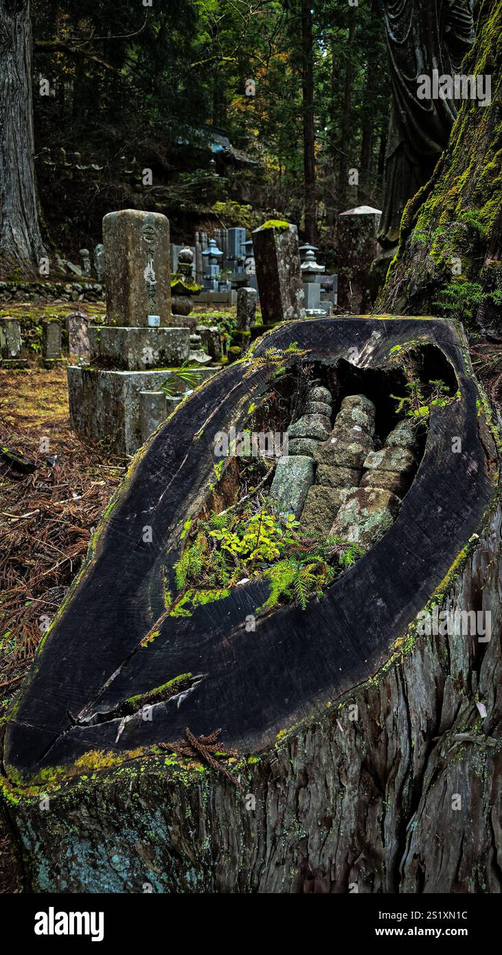 Graves and statues in Okunoin Koyasan - Smartphone Captured Stock Image