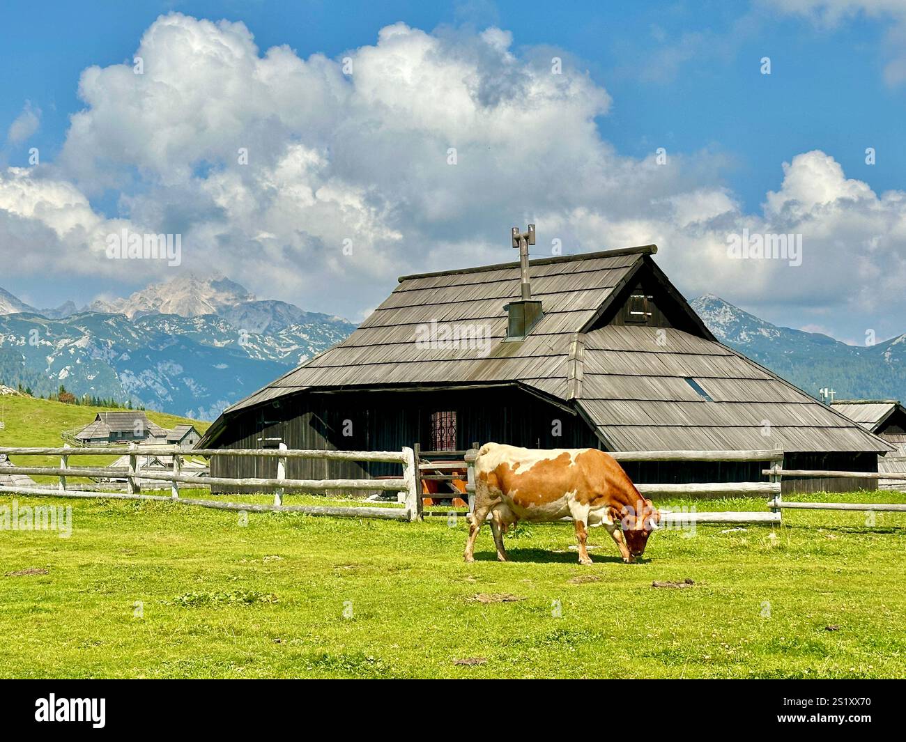 The photo captures a stunning view of the Slovenian mountains, featuring traditional skanzen houses and grazing cows. - Smartphone Captured Stock Image