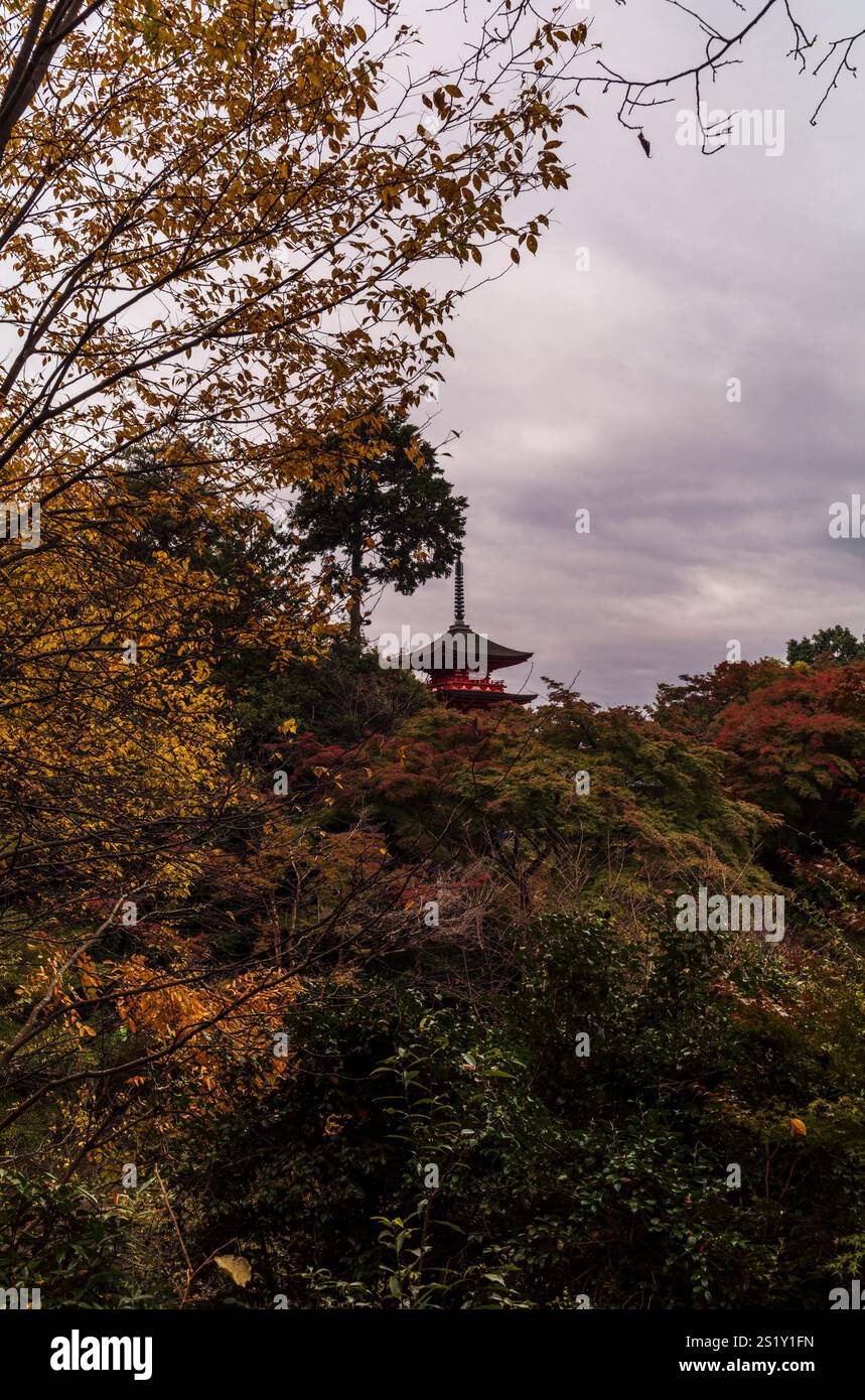 The Koyasu pagoda of the Kiyomizu-dera temple complex emerging from the ...